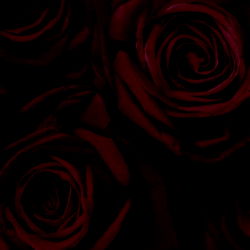 Gina Contreras🖤 photo