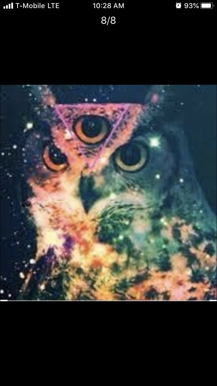 🦉AlmightySo photo