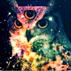 ๐ฆAlmightySo photo