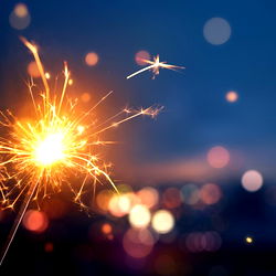 Carolina Casanova photo