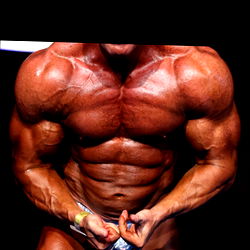 Andros: The Italian Bodybuilder Showcasing Muscles and Abs