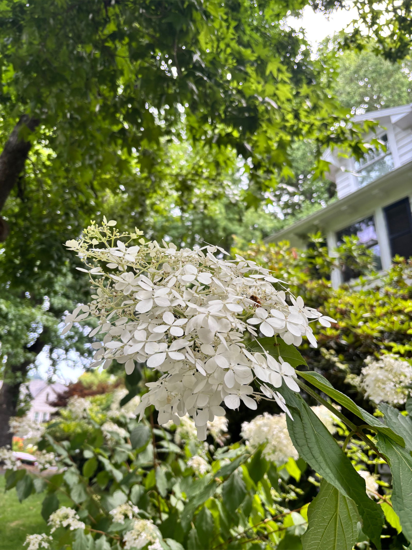 ✨Jen Moon✨ photo