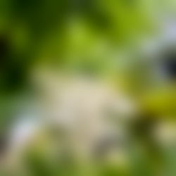 โจJen Moonโจ photo