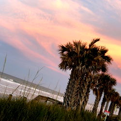 June ๐ฉถ photo