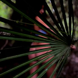 An intriguing model pose with a palm leaf