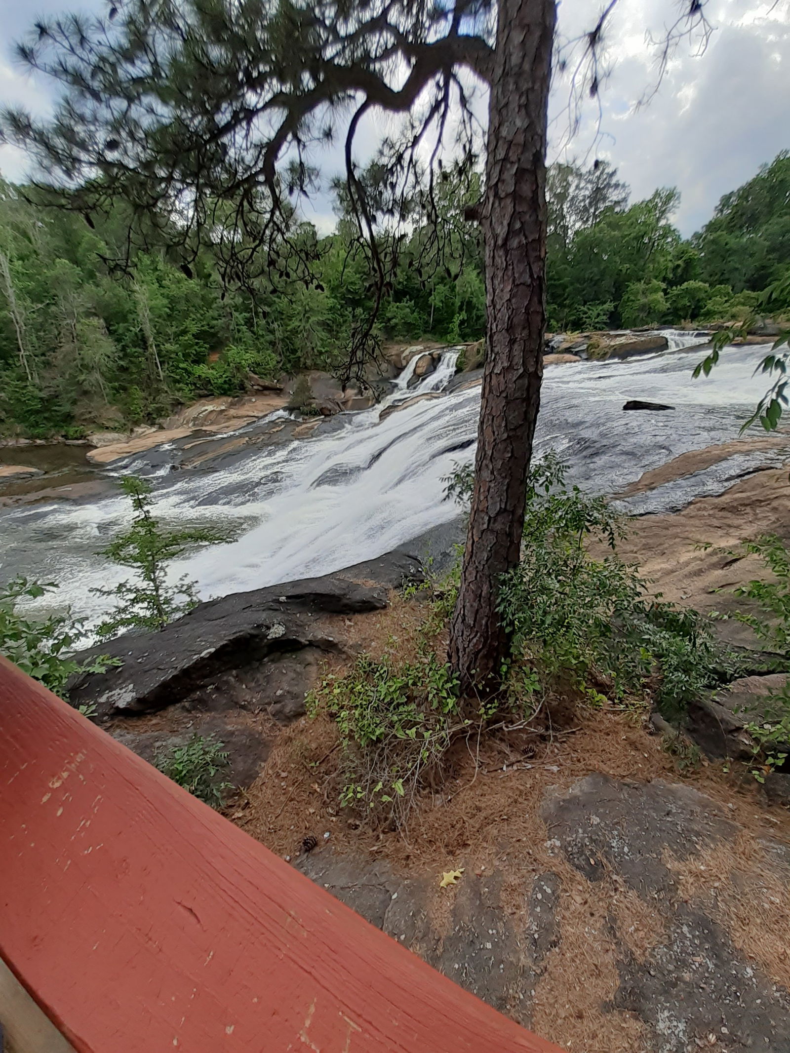 👑⁉️Quien⁉️👑 photo