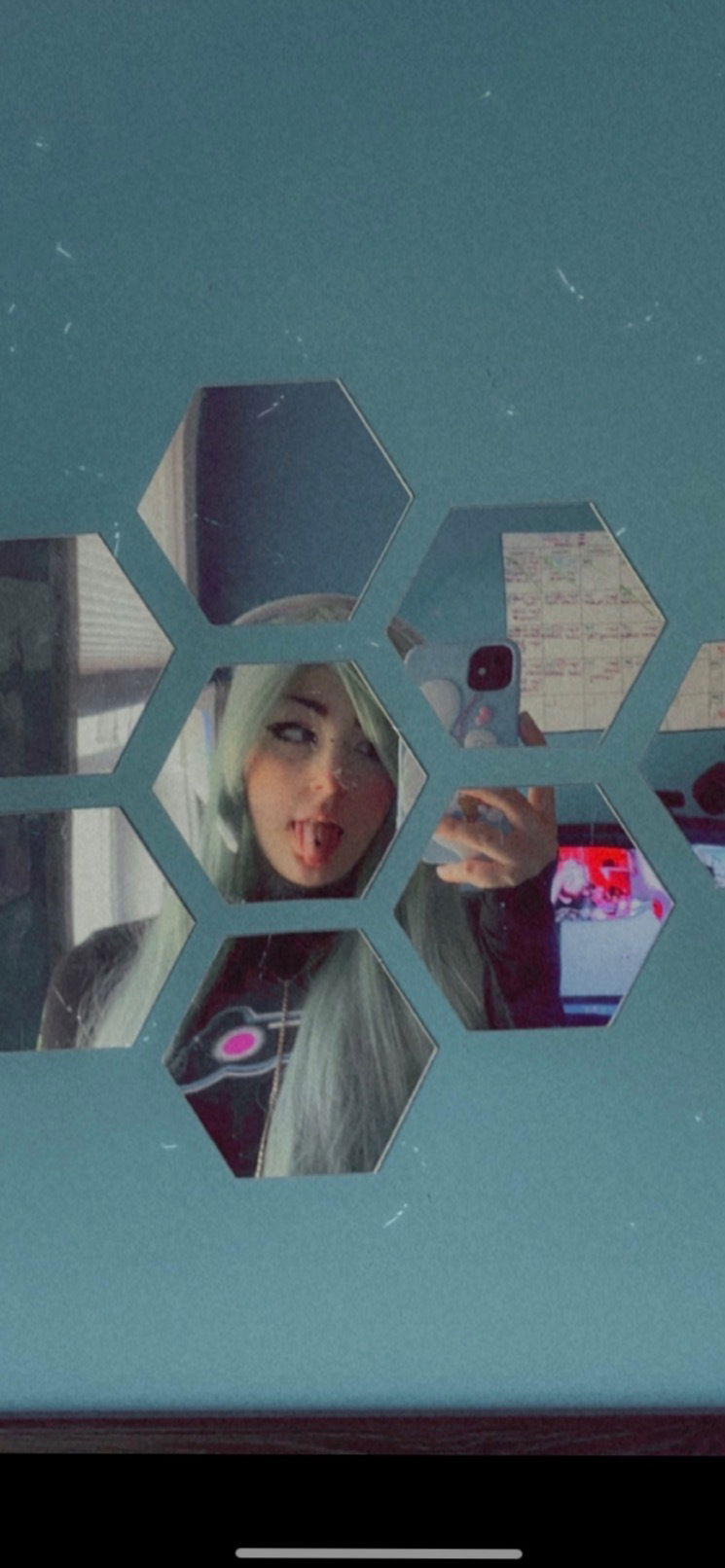 Princess Kitten photo