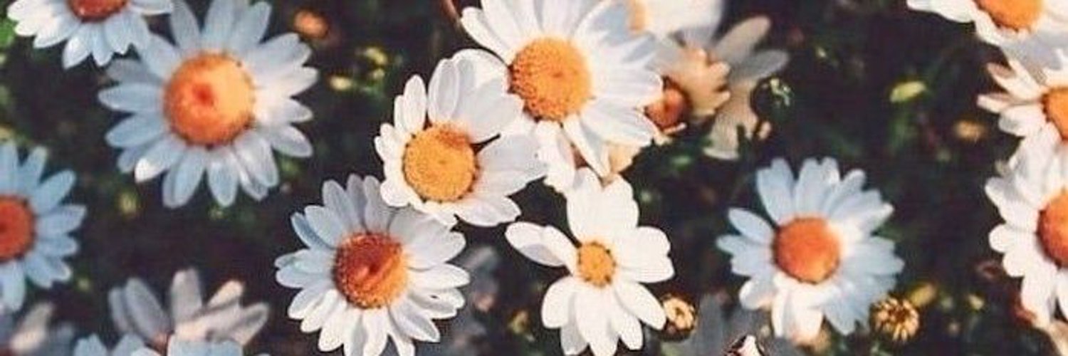 Asmr-Tickley Tingle's🌻 photo