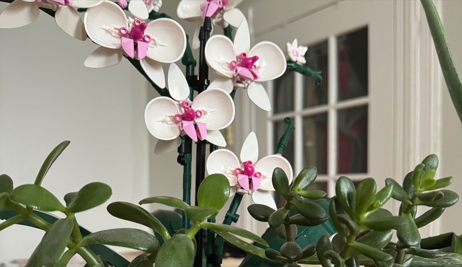 Addy 🏳️‍⚧️ photo