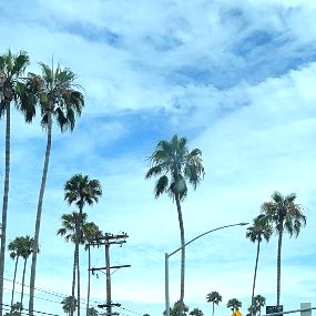 connor ๐ฉต photo