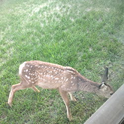 Shawn Albrecht photo