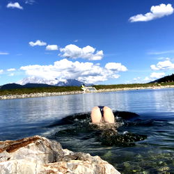 Amber Wonders Diving into a Crystal Clear Lake