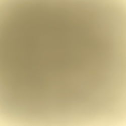 Fashionable Feline Accessory