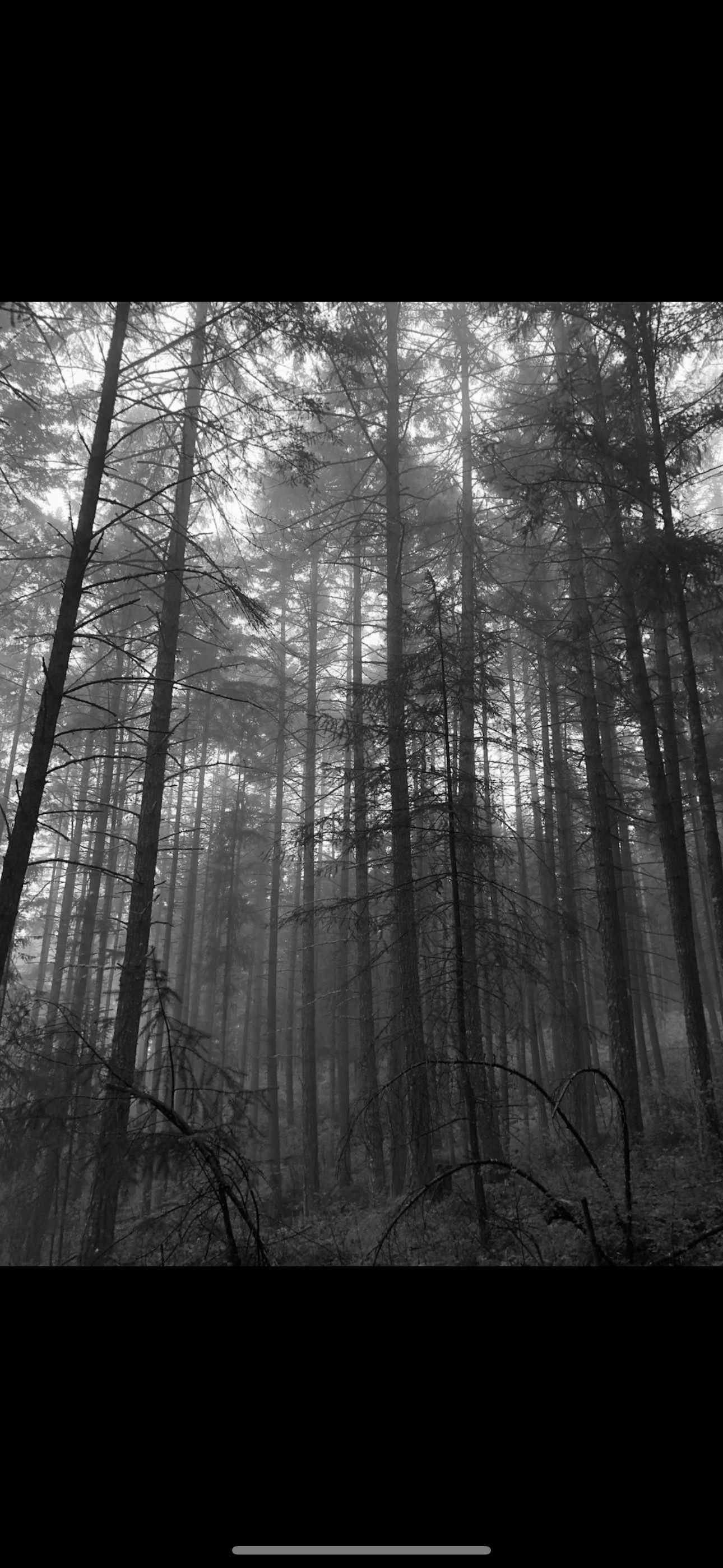 jasmine holder photo