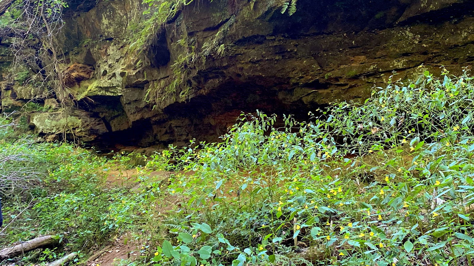 lola ♡ ❀ *:･ﾟ◕ ◡ ◕ photo