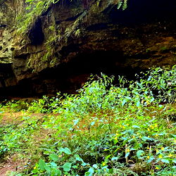 lola ♡ ❀ *:･ﾟ◕ ◡ ◕ photo