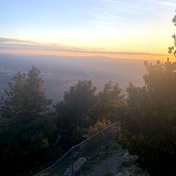 Ashtyn Folgers photo