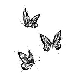 Model's OnlyFans Profile: A Deep Dive into Her Exclusive Content