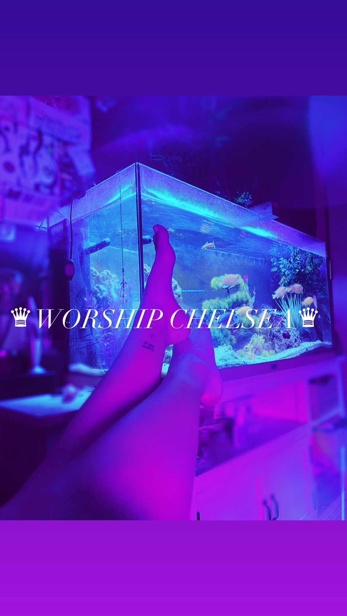 ✯Chelsea ✯ photo