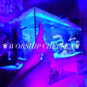 โฏChelsea โฏ photo