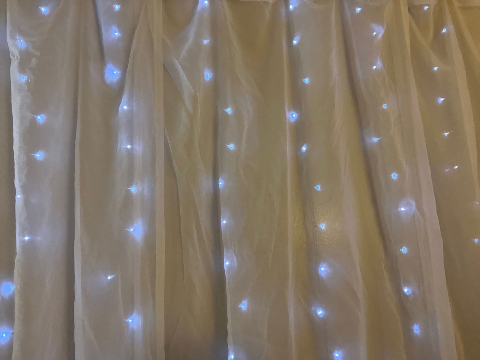 Katherine Gray photo