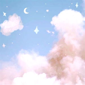 princess โก photo