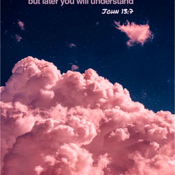 desseree tyler photo