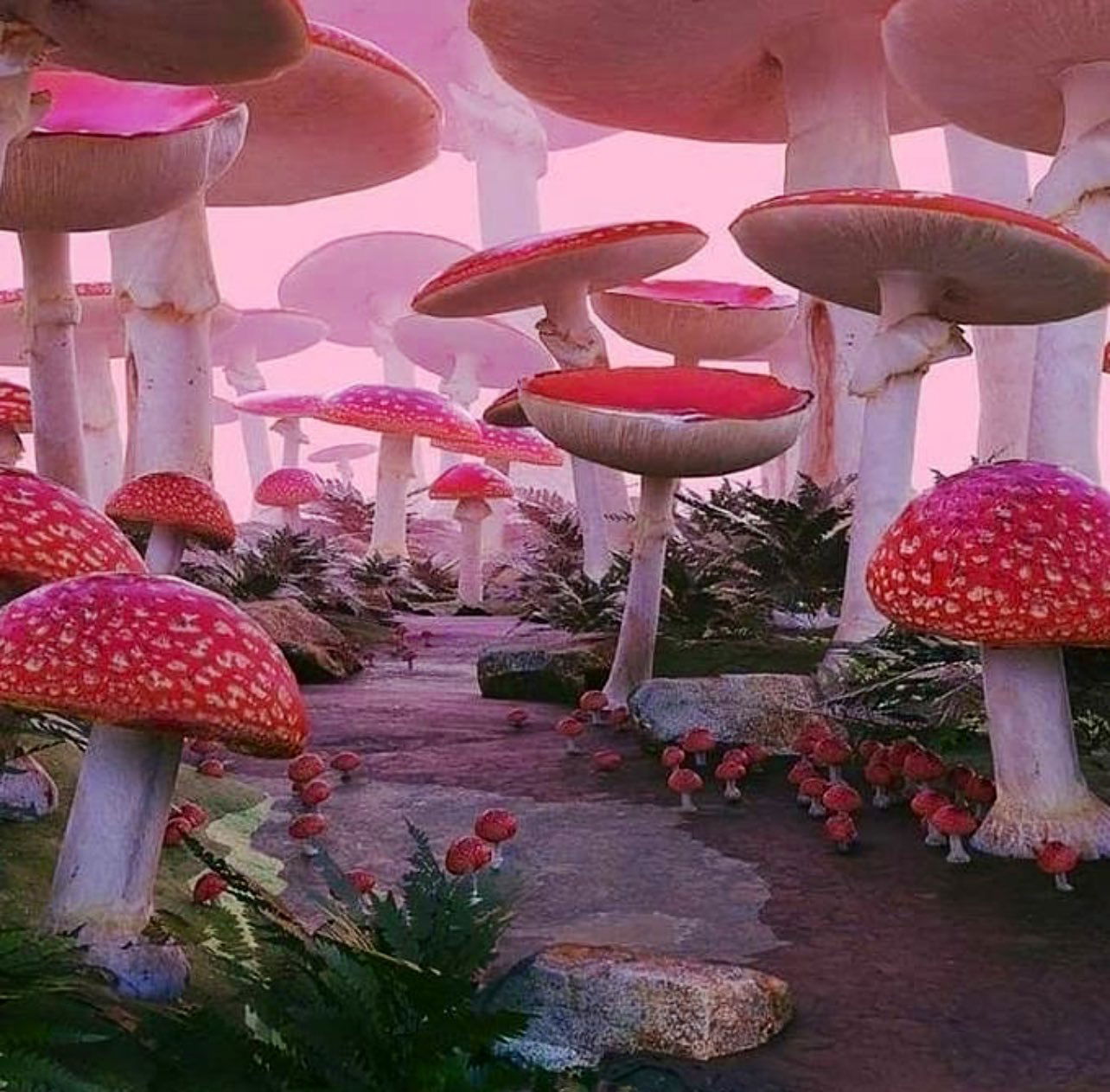 Kali - DM ME 💦 photo