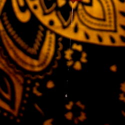 Designer Trendy Paisley Scarf