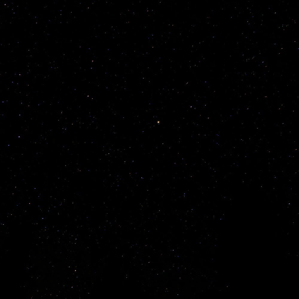 Alicia Beascochea photo