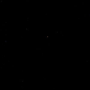 Alicia Beascochea photo