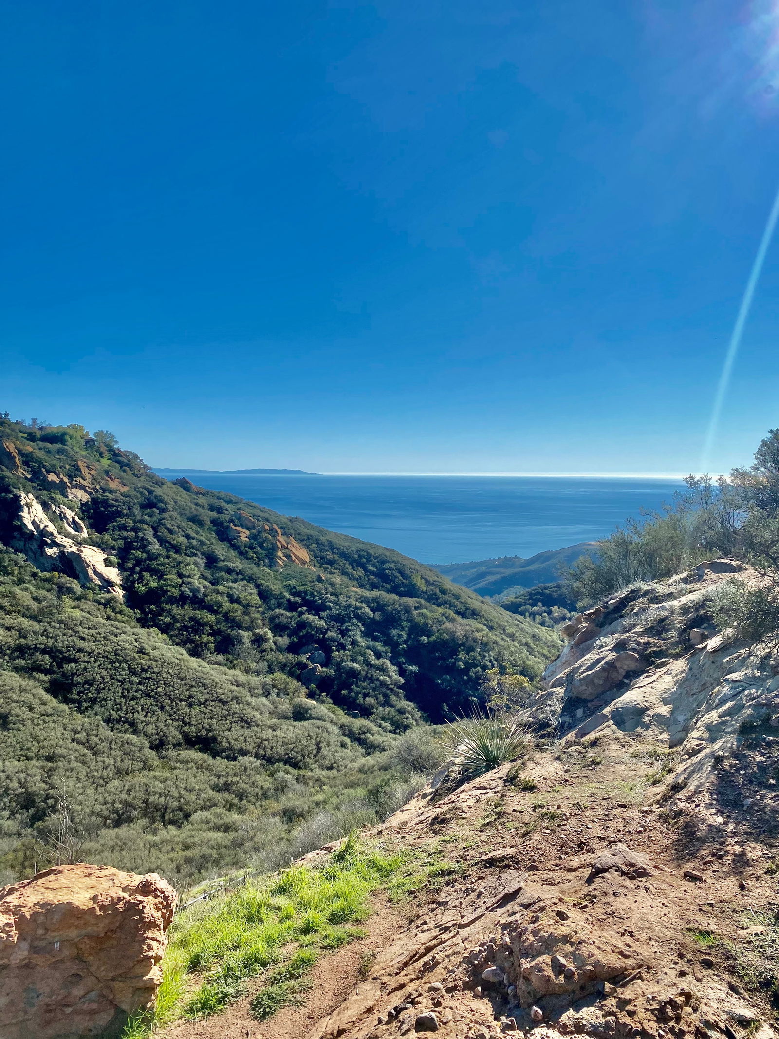 Danny Mountain photo