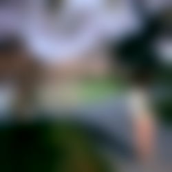 โกvivienโก photo