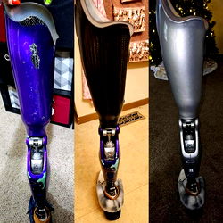 Comparison of Legless Queen Models