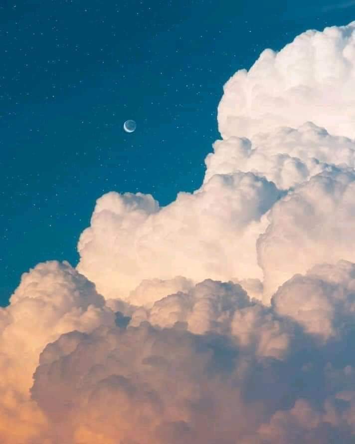 Alejandra Veli photo