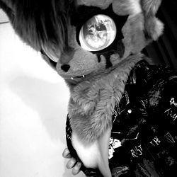 Furry Fashion: Drew's Cosplay Transformation