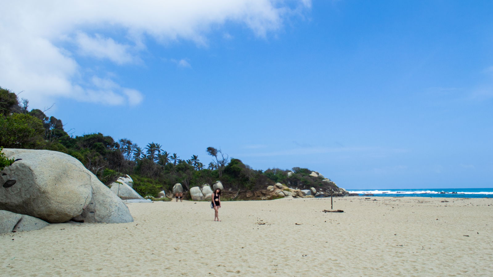 Sarah Dressler photo