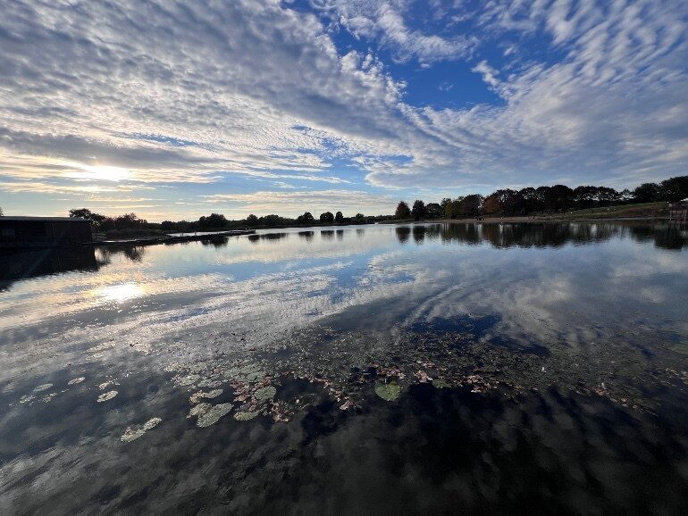 Cortney’s curiosities photo