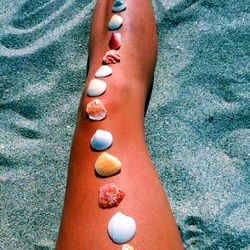 Beach Scene with Shells