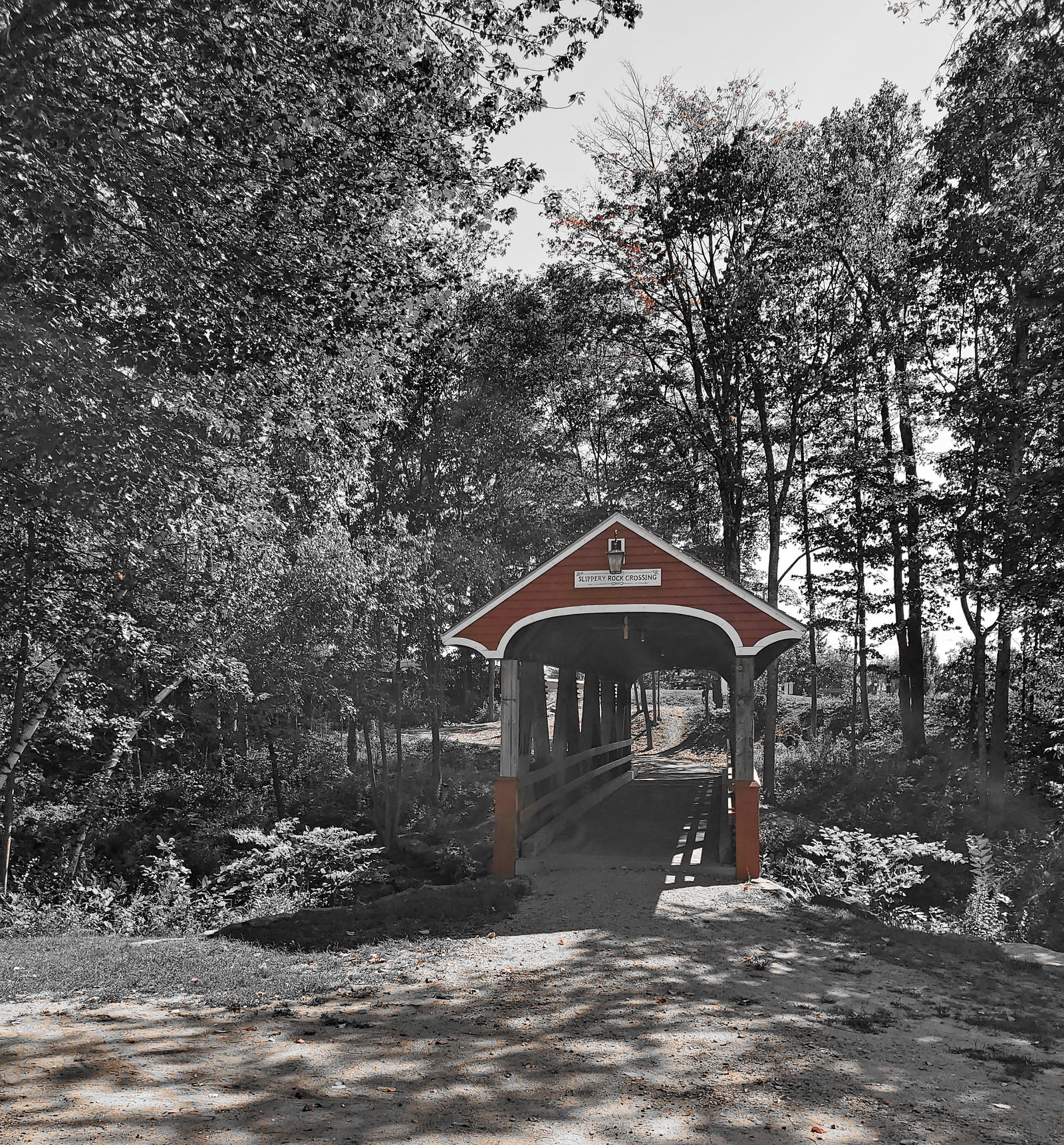 Big Bearded Kinky Male In NH photo