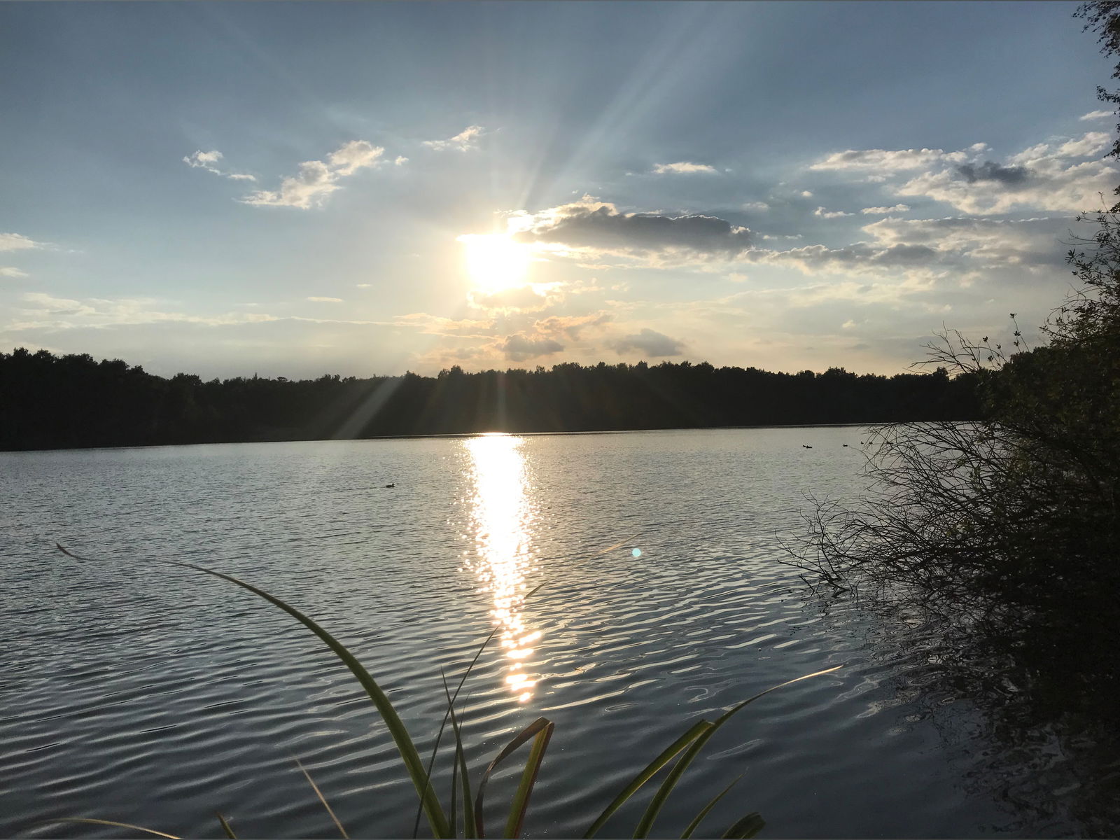 Steve Träumer 😈 photo