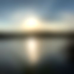 Steve Trรคumer ๐ photo