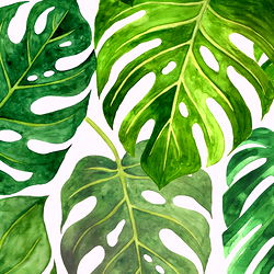 Stylish Plant Decorations