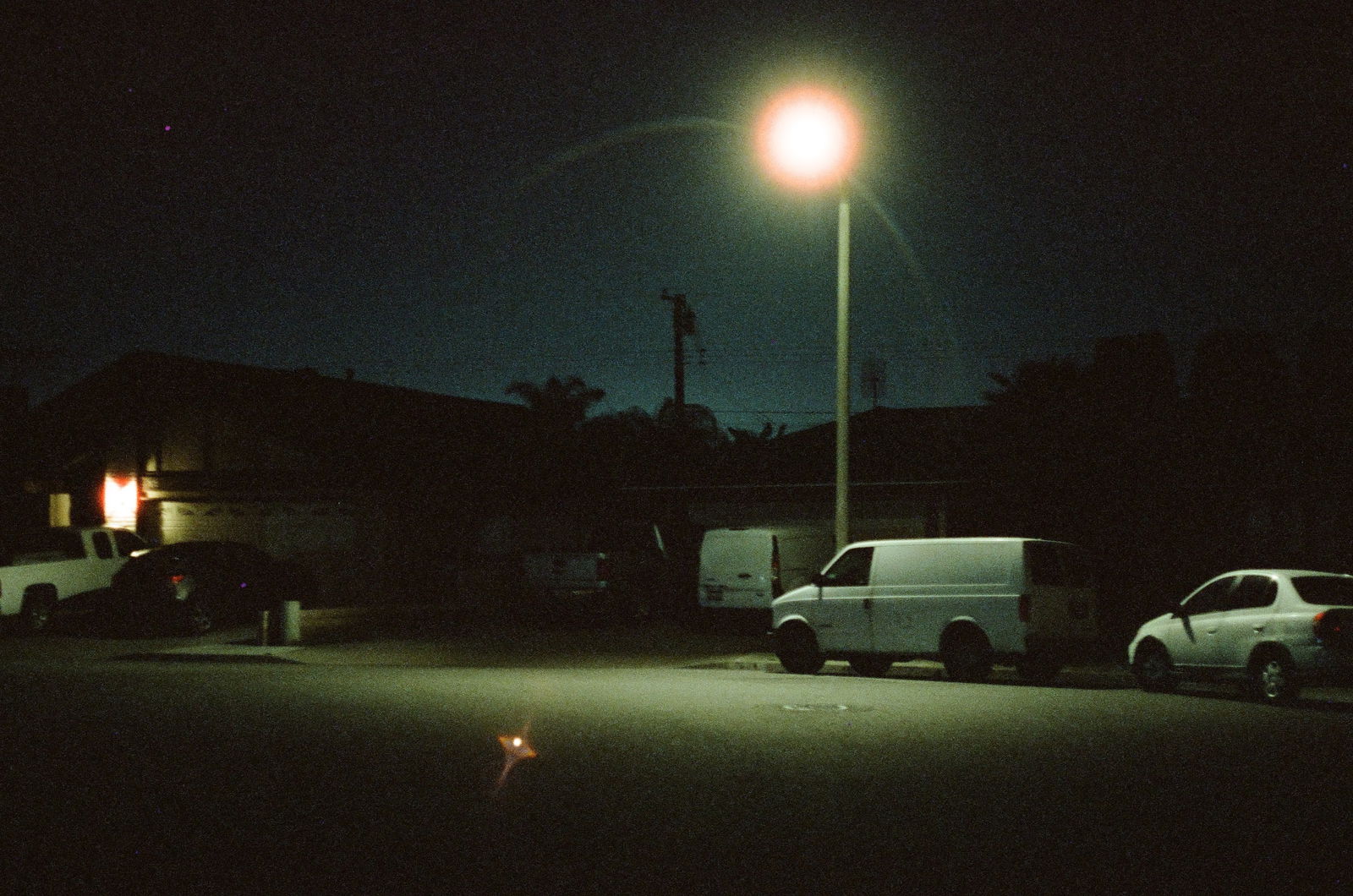 🐈🌺fern🌺🌈 (NSFW) photo