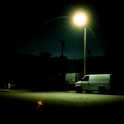 🐈🌺fern🌺🌈 (NSFW) photo