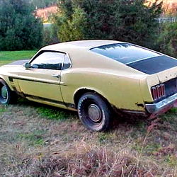 andrew hutchinson photo