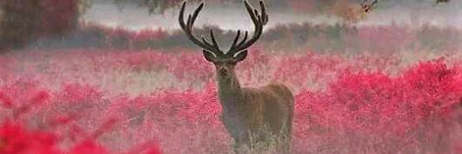 Kleirton Almeida photo