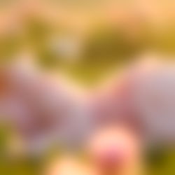 ⚧️𝙍𝙤𝙨𝙚🏳️⚧️𝙏𝙎⚧️ photo