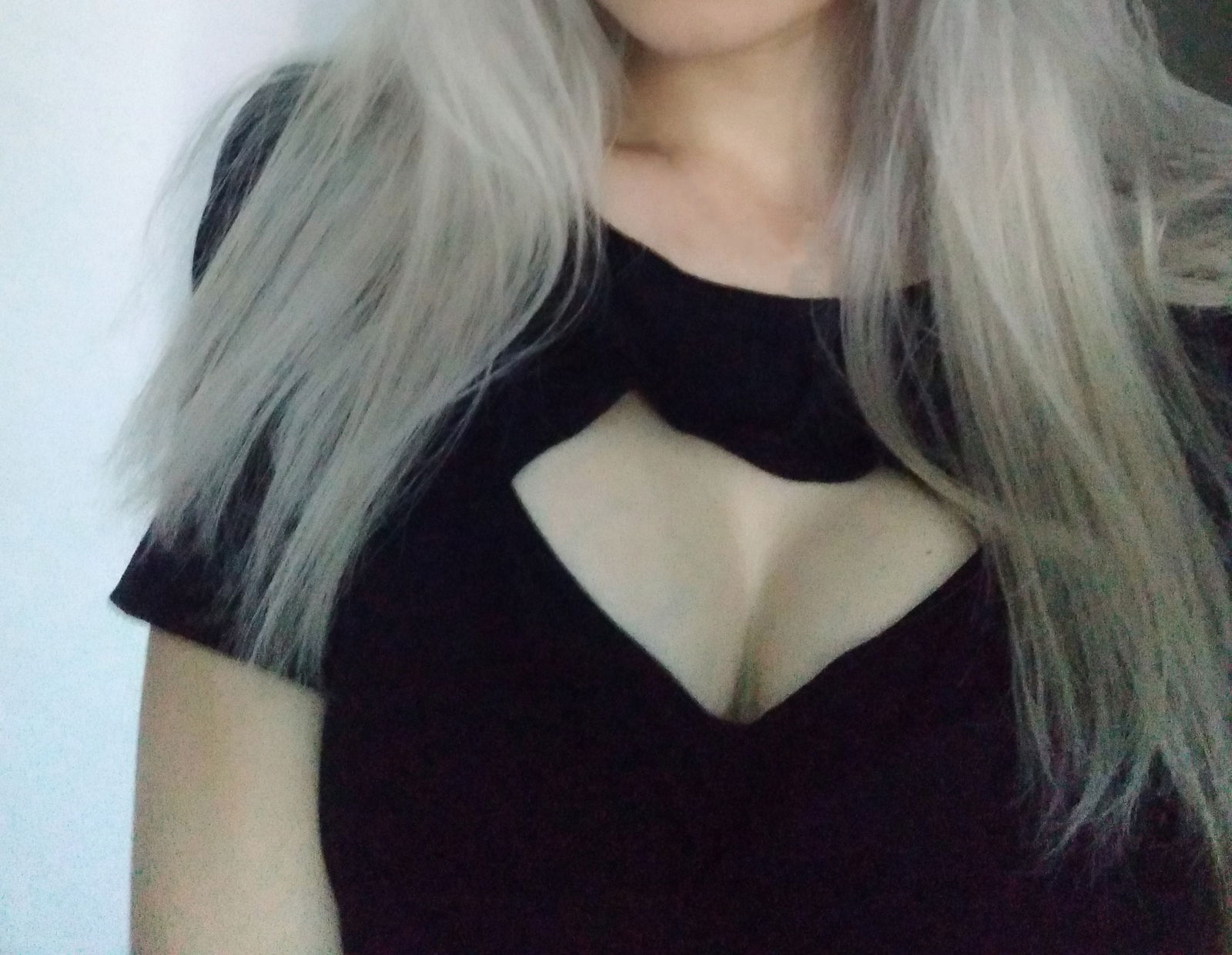 Anonymous Kitty photo