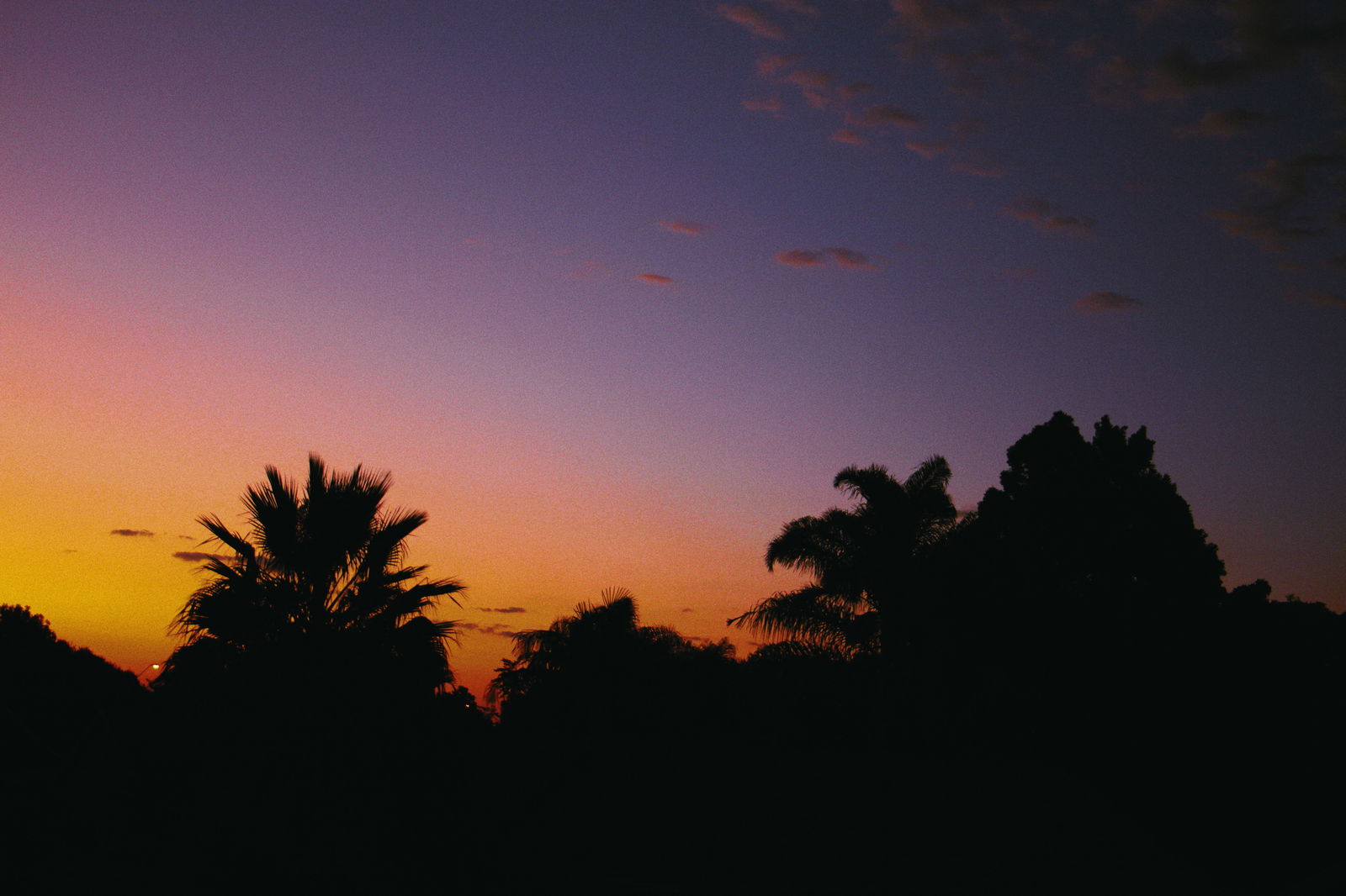 Anonymous Andrea photo